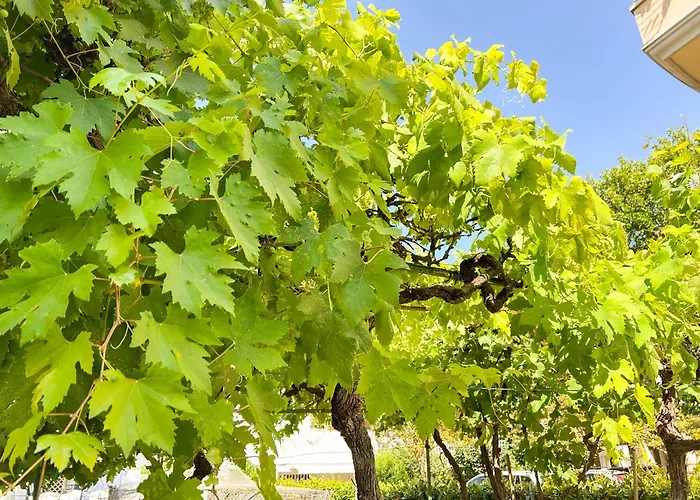 Apartamento La Casetta Di Lusi *