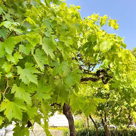 Апартаменты La Casetta Di Lusi *