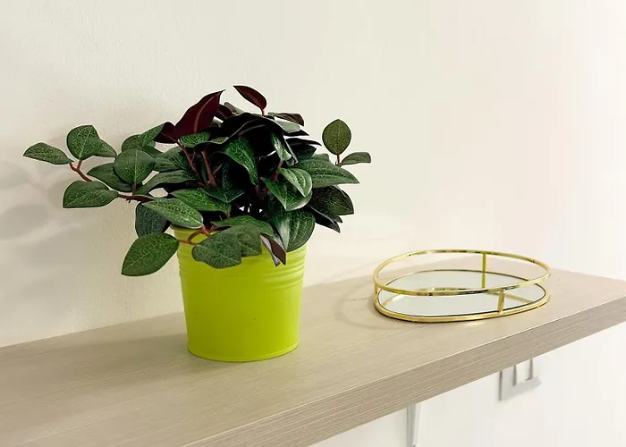 La Casetta Di Lusi Διαμέρισμα Ρίμινι